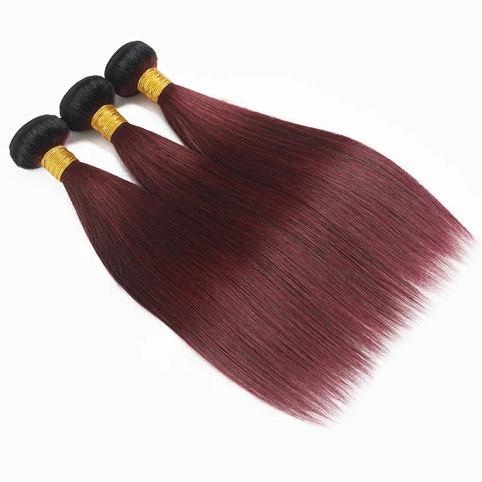 #1B/99J Ombre Burgundy Bone Straight Human Hair Bundles | 100% Brazilian Remy Virgin Hair Extensions | Machine Double Weft Wine Red Hair Weaving (1 / 3 / 4 Pcs Multipack) Luxegan