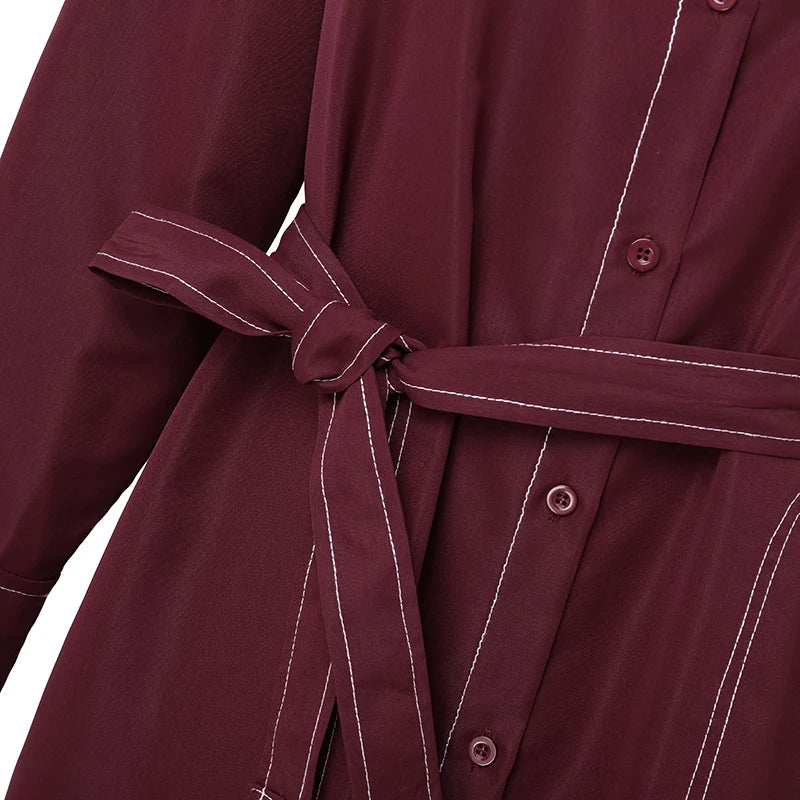 ZANZEA Fashion Long Shirt Dresses Women Elegant Streetwear Office Lady Midi Vestidos Belted Casual Autumn Long Sleeve Party Robe