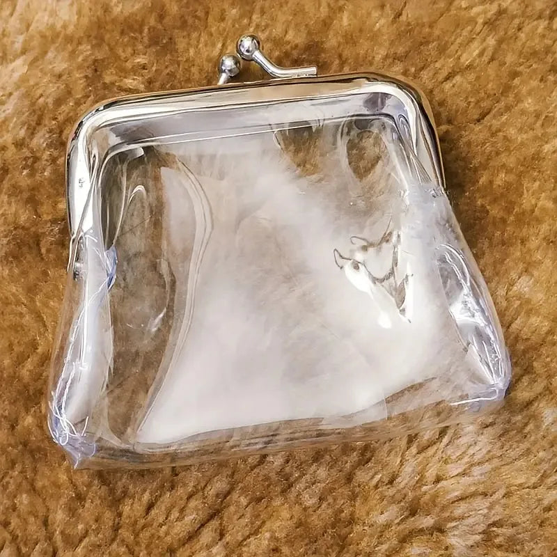 Mini Waterproof Storage Bag | PVC Material Coin Purse & Earphone Pouch Luxegan