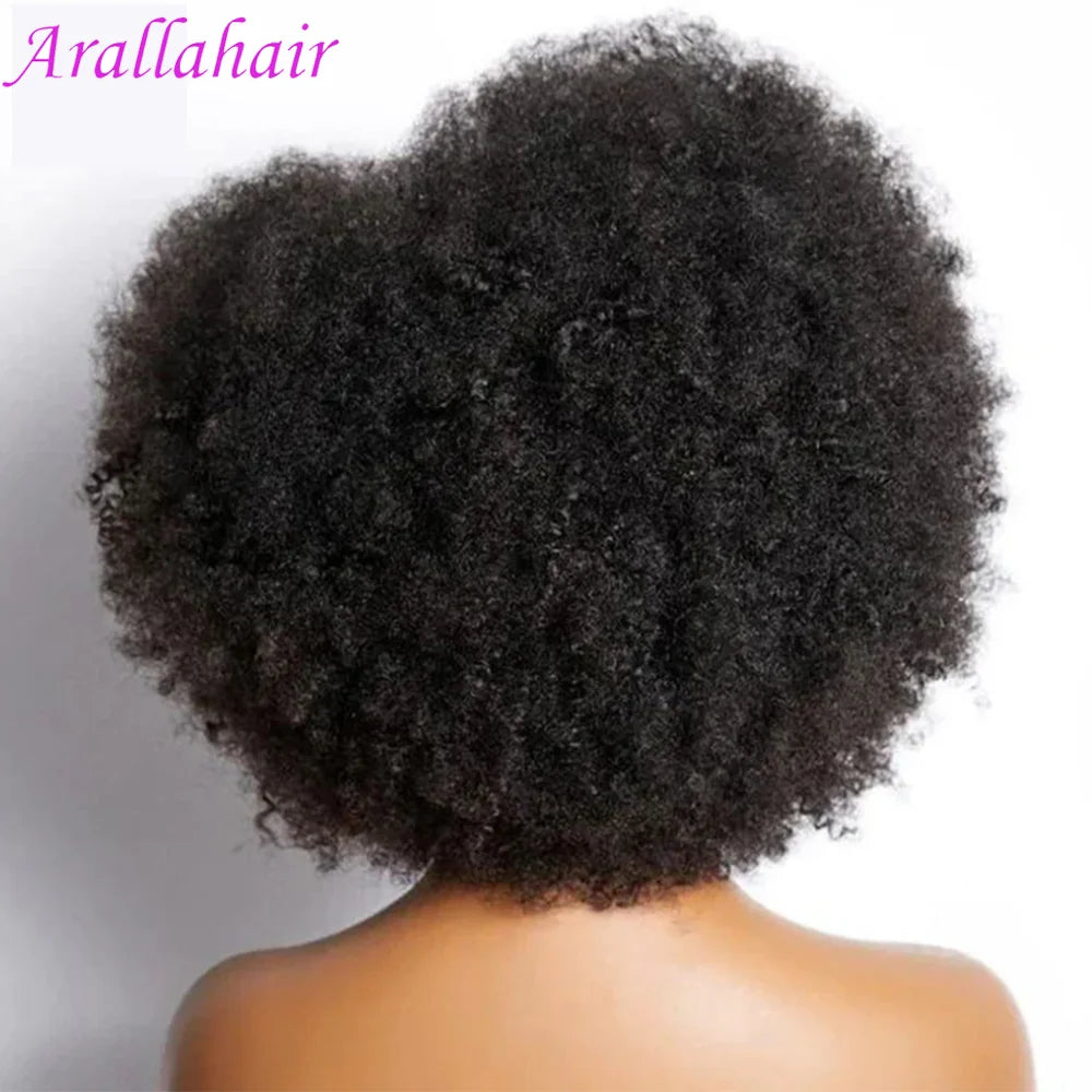 Afro Kinky Curly Lace Front Wig | Brazilian Remy Hair | HD Lace | Natural Hairline | 250% Density