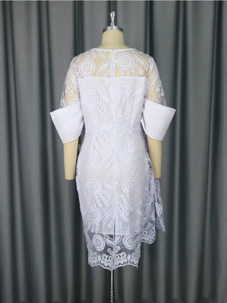 Solid Round Neck Embroidery and Lace Detail Regular Fit Pencil Midi Dress – Natural Waist, Spring/Winter Luxegan