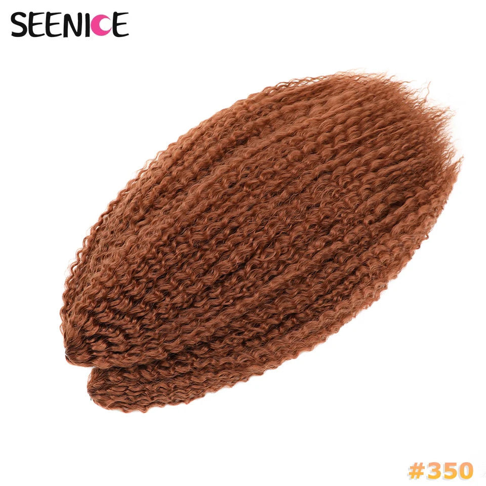Afro Kinky Curly Crochet Braiding Hair Extensions – Ombre Synthetic Braids for Women | 20 & 28 - view 17