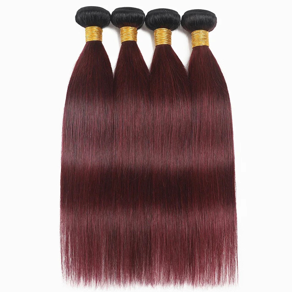 #1B/99J Ombre Burgundy Bone Straight Human Hair Bundles | 100% Brazilian Remy Virgin Hair Extensions | Machine Double Weft Wine Red Hair Weaving (1 / 3 / 4 Pcs Multipack) Luxegan