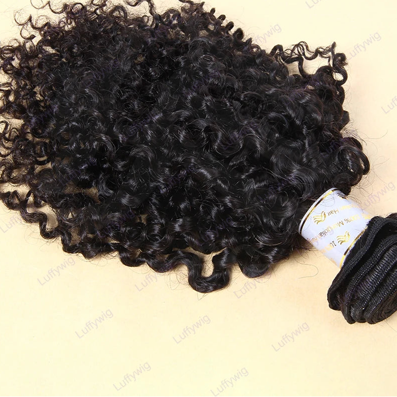 Burmese Curly Hair Bundles | 100% Remy Human Hair | Natural Black | 12–26 Inches Luxegan