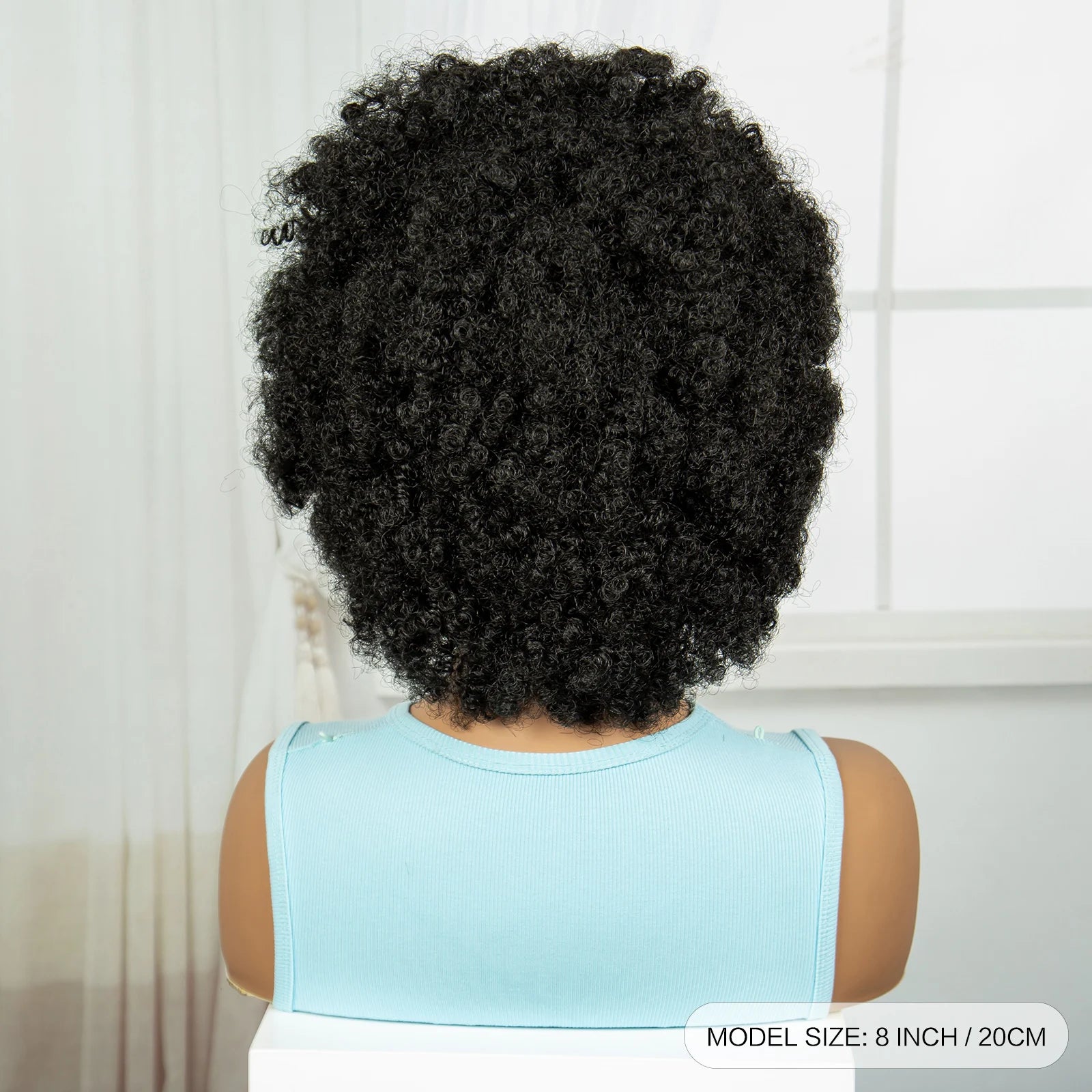 Afro Kinky Curly Cornrow Braids Wig | Transparent Full Lace | Baby Hair Luxegan