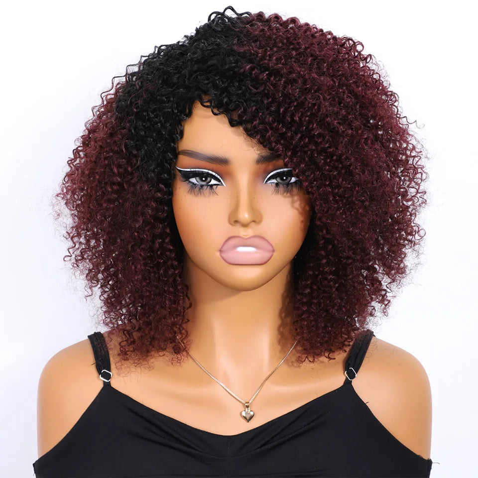 Afro Kinky Curly Black & Ombre T1B/30 Human Hair Wig | Brazilian Remy Machine Made Glueless Wigs for Women (Affordable) Luxegan