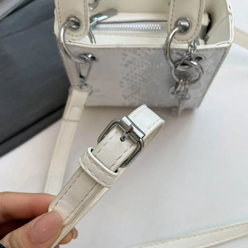 Fashion Classic Women's Mini Handbag | Small Square Bag & Serpentine Crossbody Luxegan