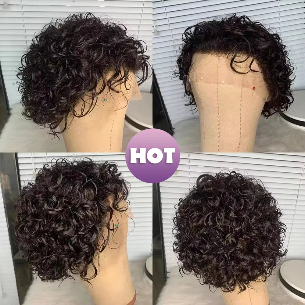 Short Curly Pixie Cut Wig - 13x4 & 13x1 Transparent Lace Frontal Human Hair Wig - Glueless Brazilian Remy Curly Short Bob Wig for Black Women (4-16 Inches, #1B Natural Color) Luxegan