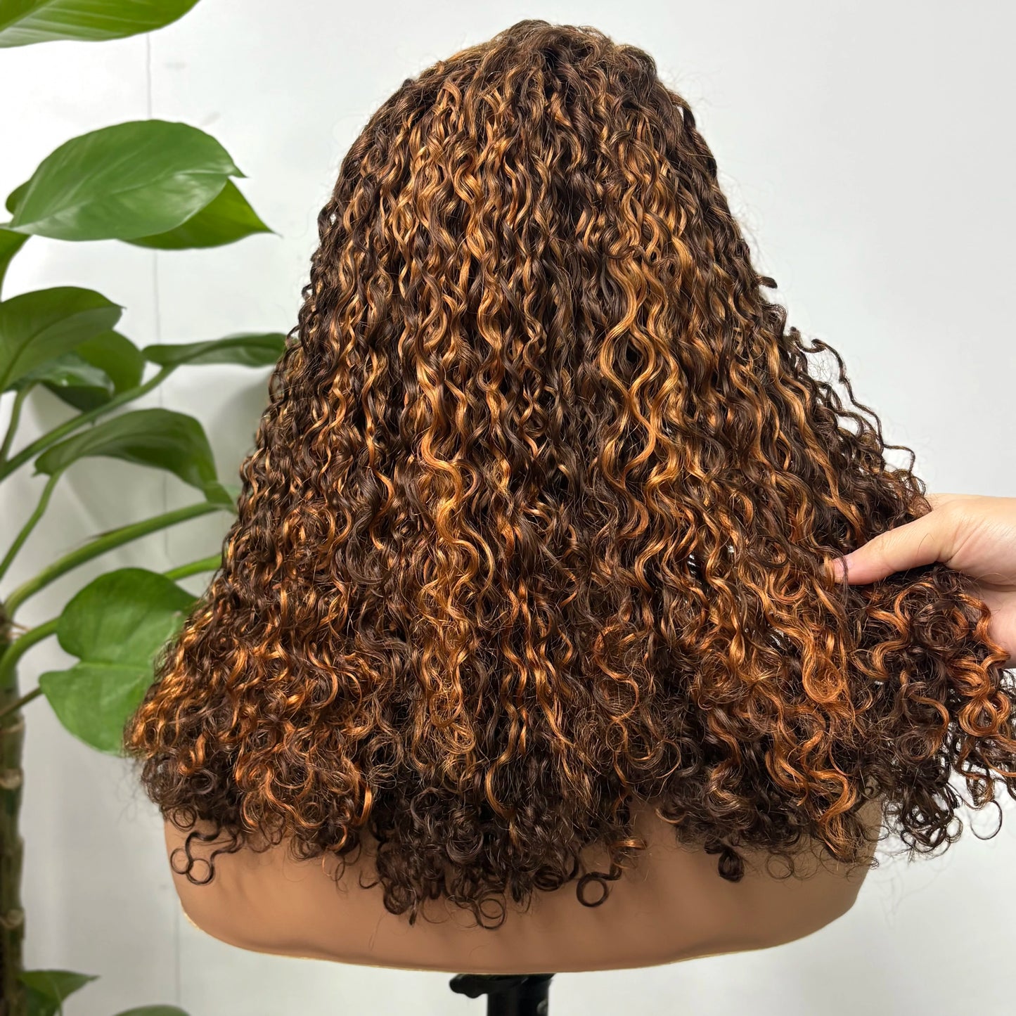 350% Density Pixie Curly HD Lace Frontal Wig | Bouncy Burmese Human Hair Luxegan