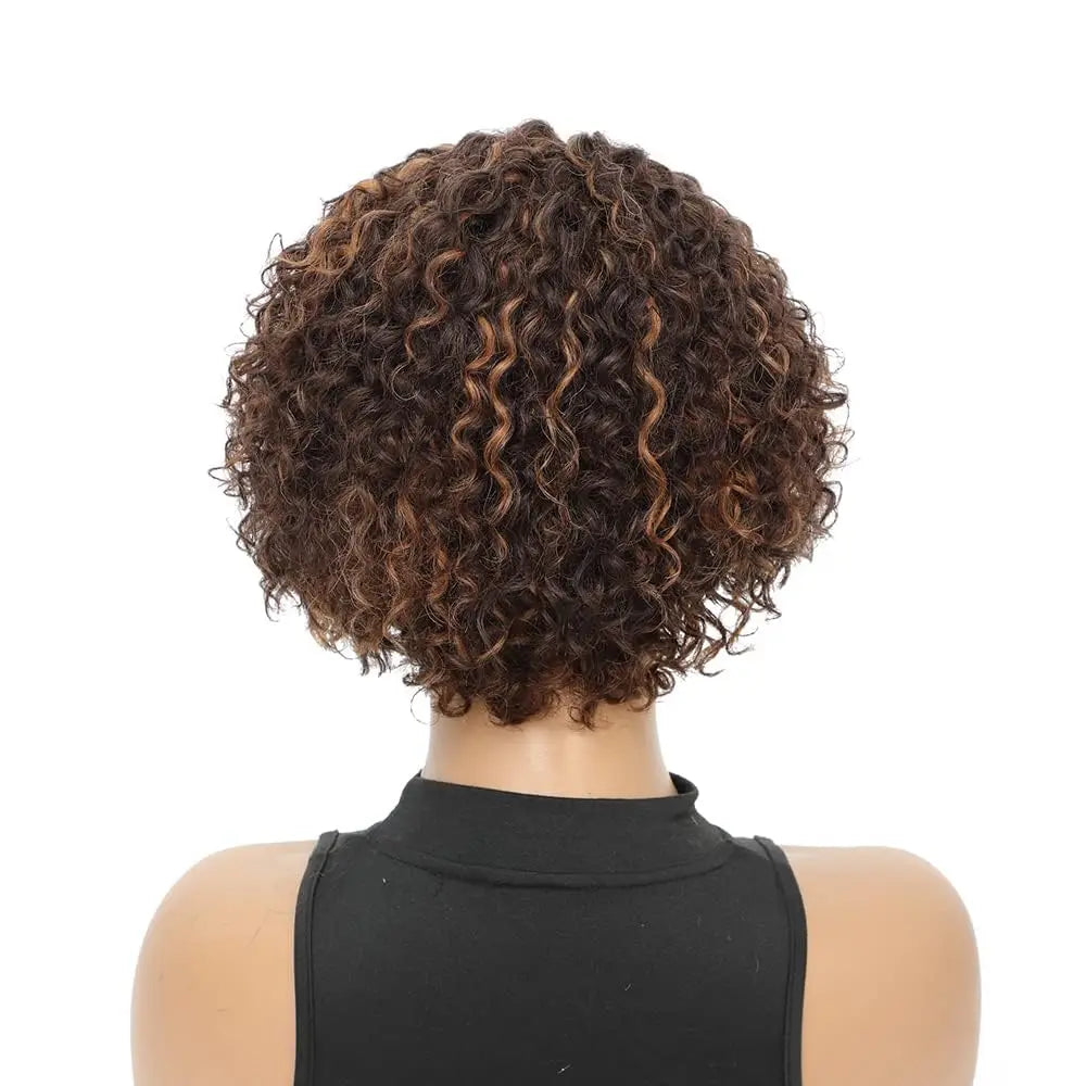  8-Inch Bouncy Curly Pixie Cut Wig | Side Part Brazilian Human Hair Luxegan