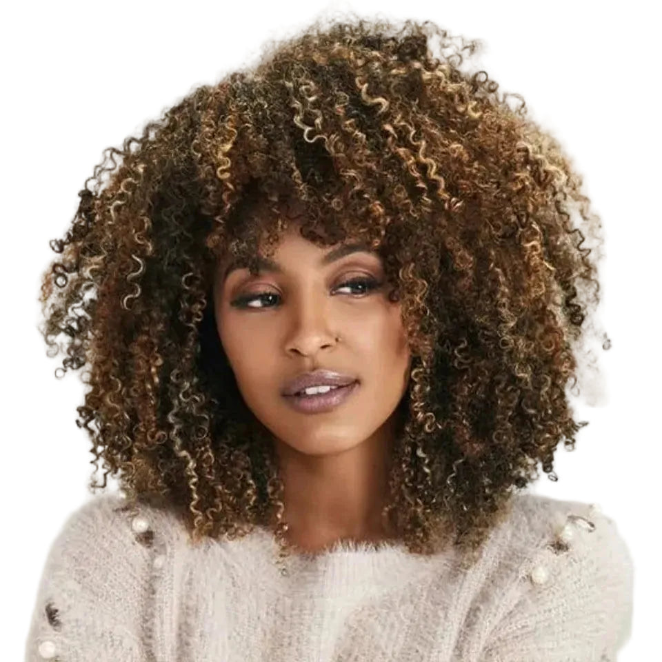 P4/27 Afro Kinky Curly Human Hair Bob Wig with Bangs - 250% Density Full Machine-Made Glueless Short Wig - 100% Brazilian Remy Human Hair Mix Brown Jerry Curly Fringe Wig for Women (Fast Shipping) Luxegan