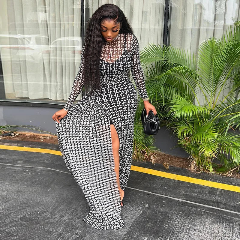 Vintage Printed Sexy See Through Mesh Women Dress Long Sleeve O Neck Slim Waist Big Hem Long Maxi Dress