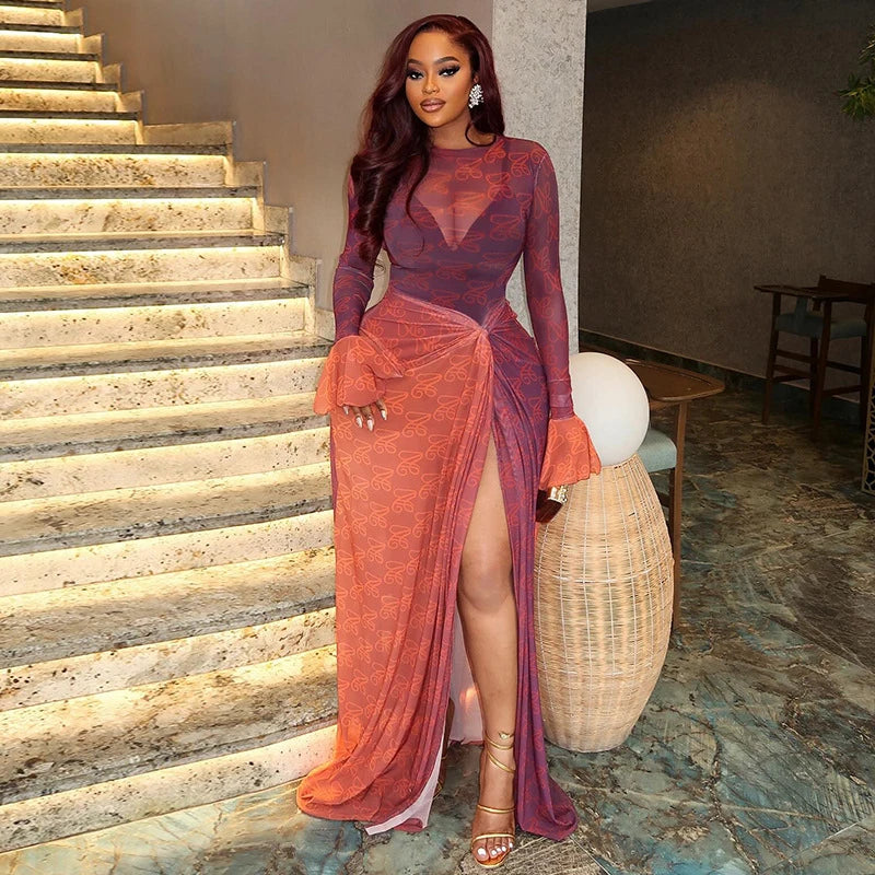 Vintage Printed Sexy See Through Mesh Women Dress Long Sleeve O Neck Slim Waist Big Hem Long Maxi Dress