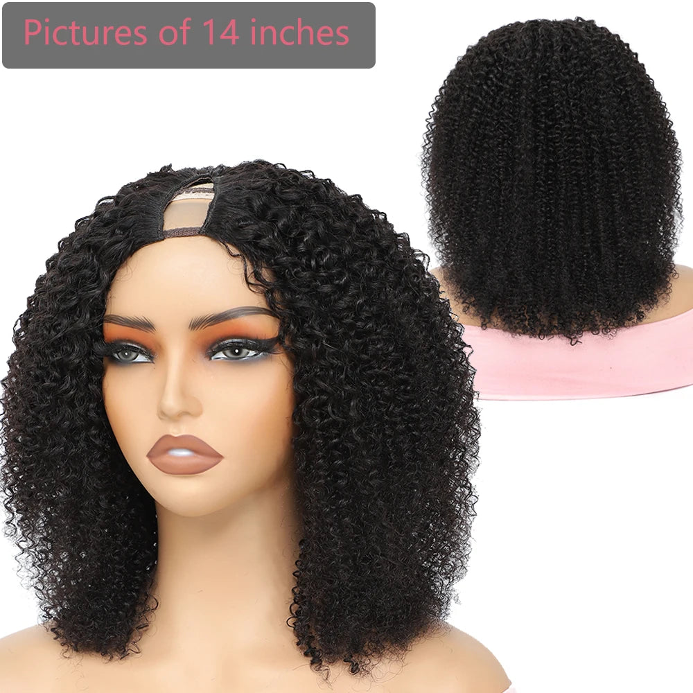 V-Part Afro Kinky Curly Wig | 12–32 Inch Luxegan