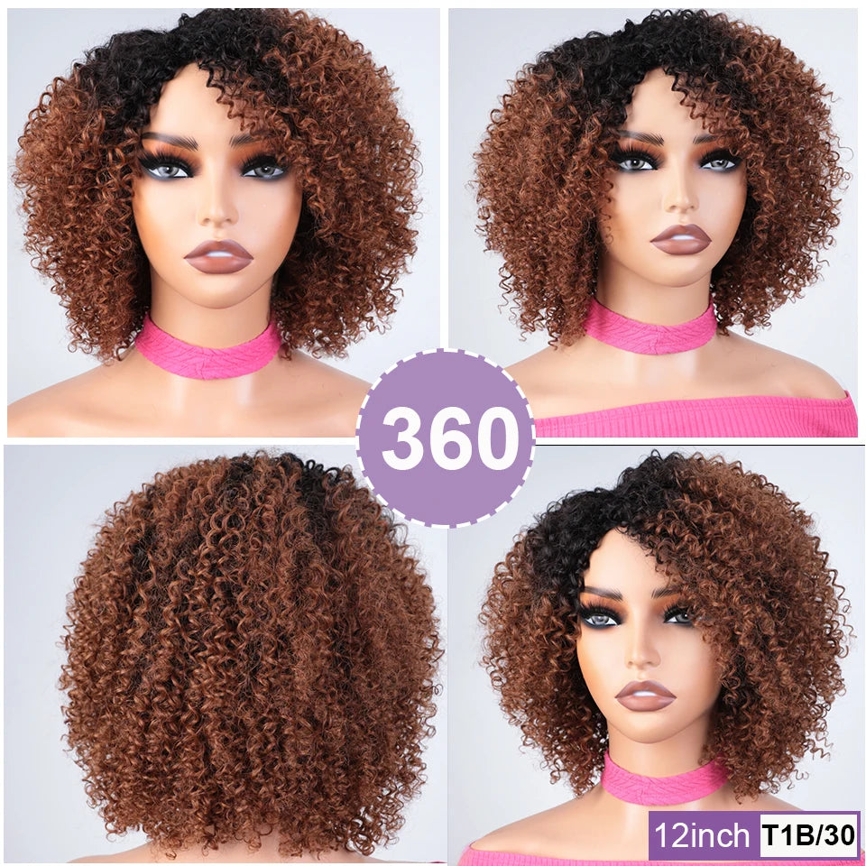 Afro Kinky Curly Black & Ombre T1B/30 Human Hair Wig | Brazilian Remy Machine Made Glueless Wigs for Women (Affordable) Luxegan