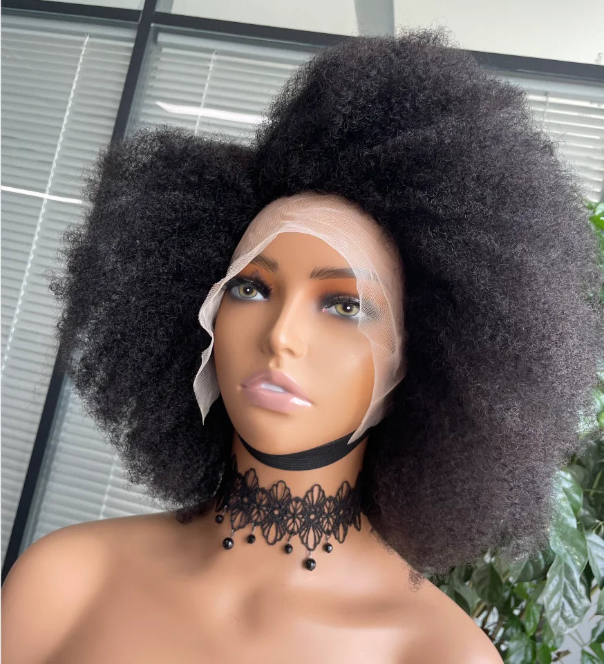 Afro Kinky Curly Lace Front Wig | Brazilian Remy Hair | HD Lace | Natural Hairline | 250% Density