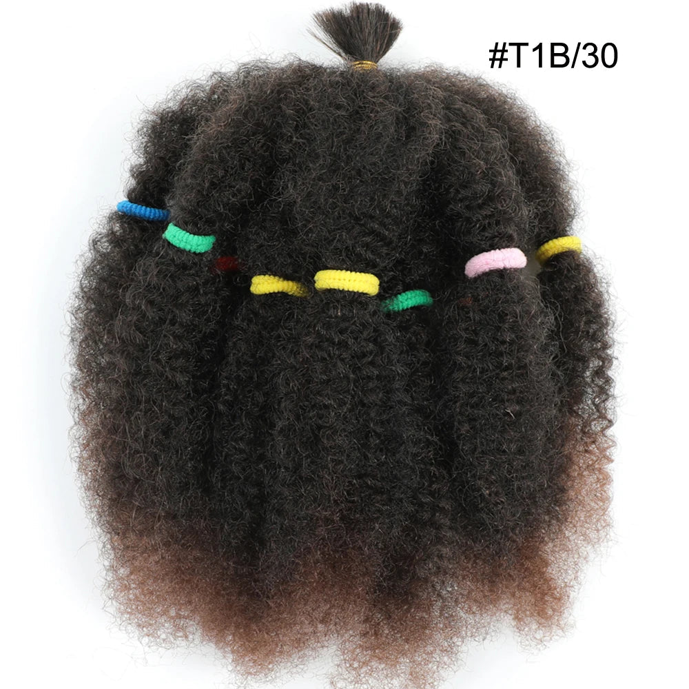12-Inch Afro Kinky Curly Synthetic Braiding Hair Bulk - Ombre Marley Twists Crochet Extensions - Low Temperature Fiber Afro Twist Bulk Hair for Protective Styles (10 Strands/Pack, 50g) Luxegan