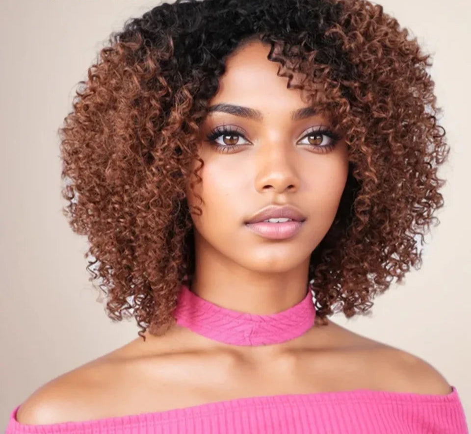 Afro Kinky Curly Black & Ombre T1B/30 Human Hair Wig | Brazilian Remy Machine Made Glueless Wigs for Women (Affordable) Luxegan