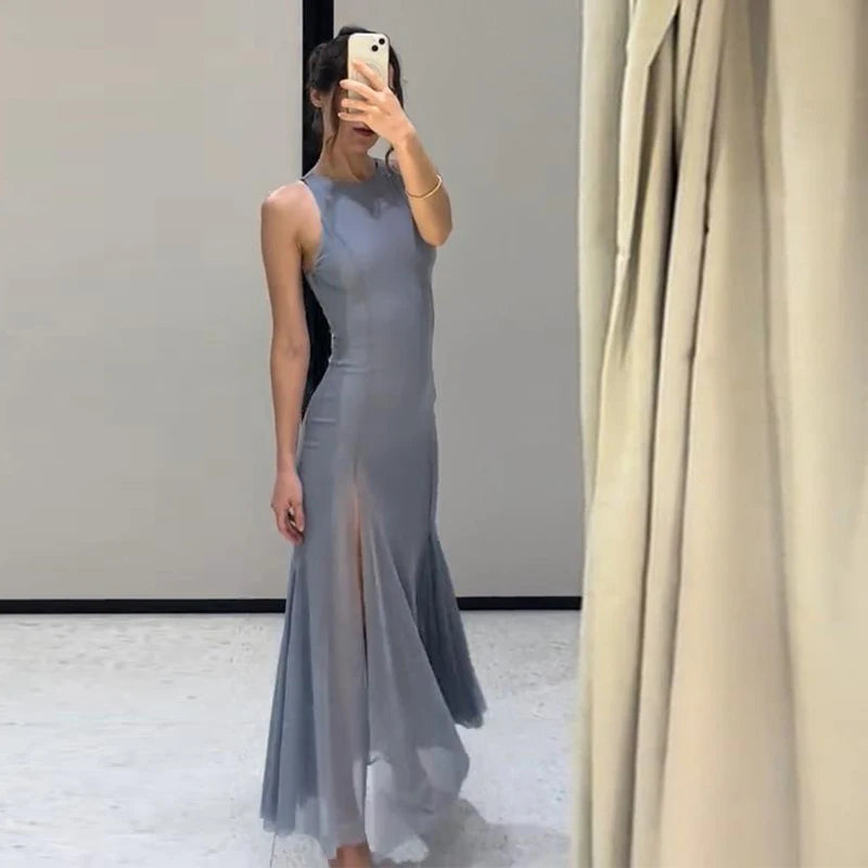 Sleeveless Mesh A-Line Maxi Dress Luxegan