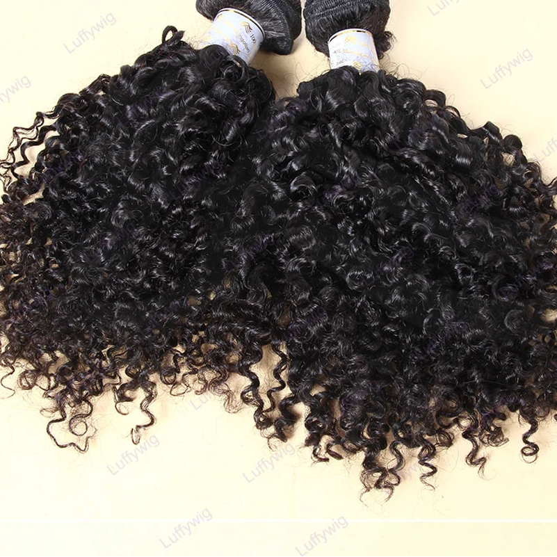Burmese Curly Hair Bundles | 100% Remy Human Hair | Natural Black | 12–26 Inches Luxegan
