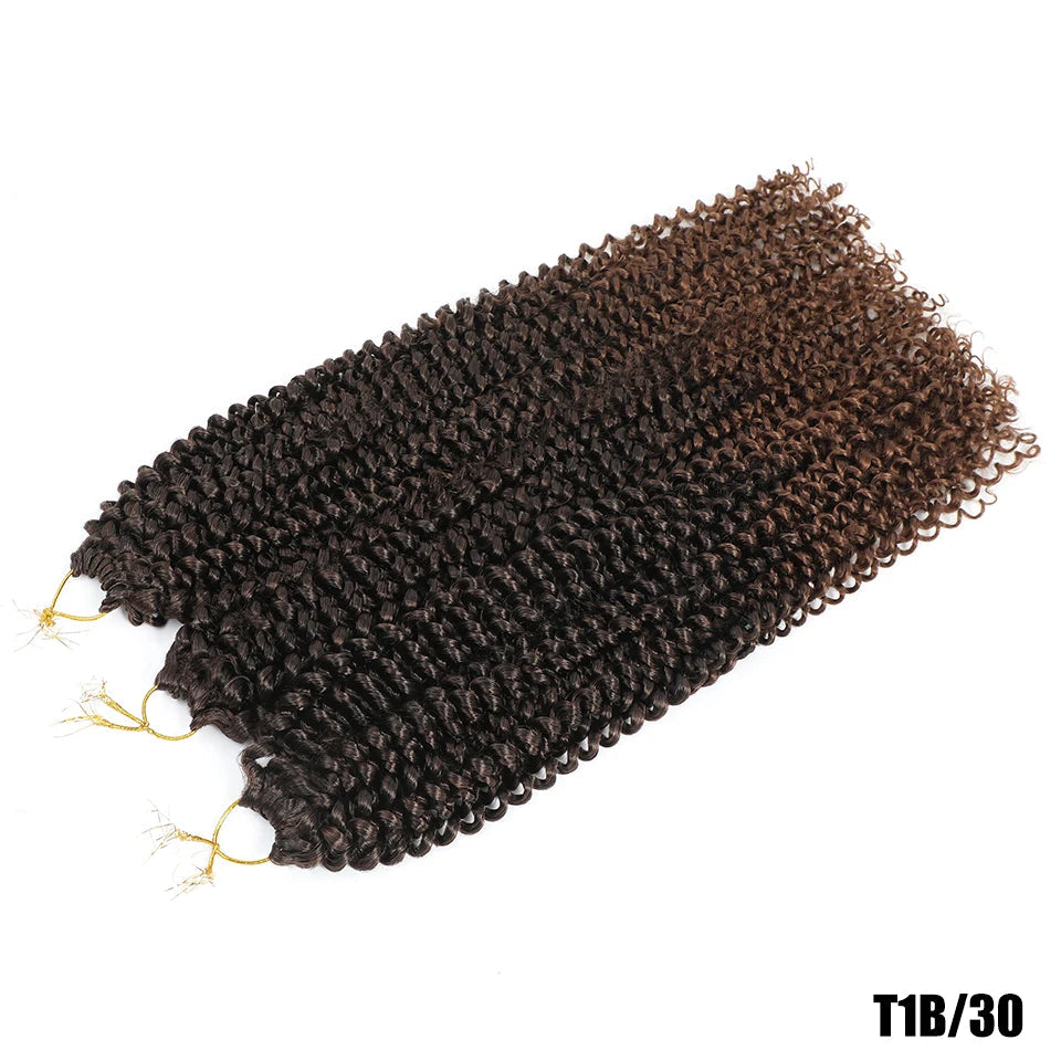 Water Wave Crochet Braiding Hair | Afro Curly Synthetic Braids for Passion Twists & Butterfly Locs 22" Luxegan