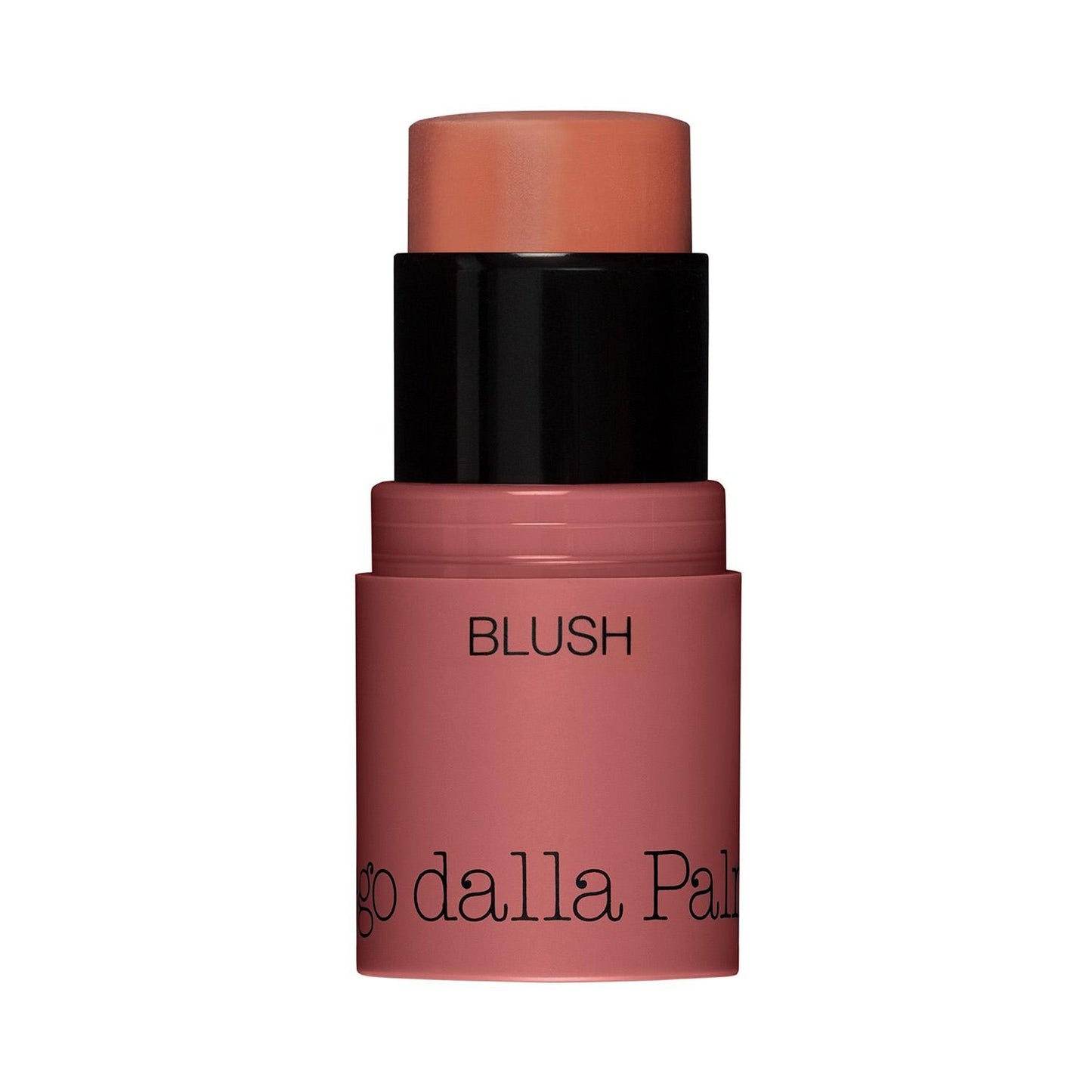Diego Dalla Palma, All In One, Blush Stick, 42, Salmon, 4 g