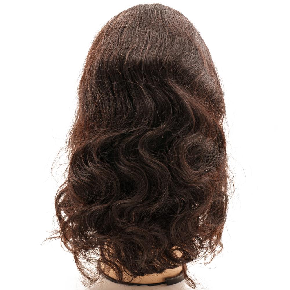 Glueless Body Wave 5x5 HD Lace 100% Human Hair Closure Wig Luxegan