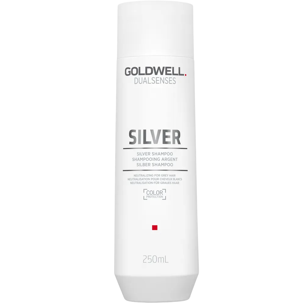 Goldwell, Dualsenses Silver, Hair Shampoo, Anti Grey, 250 ml