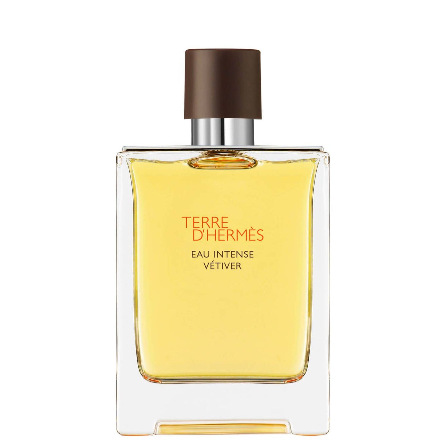Hermes, Terre d'Hermes Eau Intense Vetiver, Eau De Parfum, For Men, 100 ml