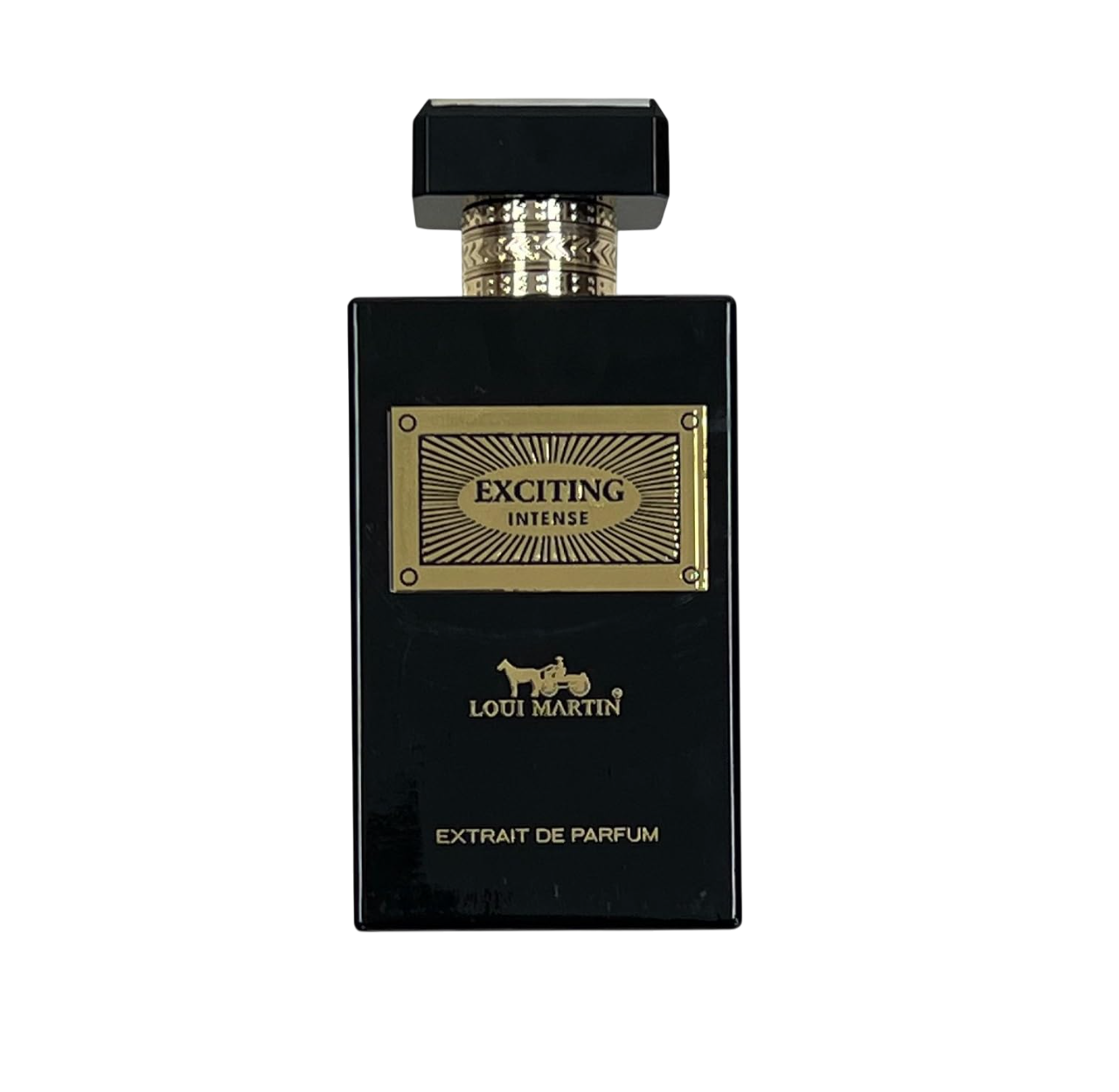 Loui Martin, Exciting Intense, Extrait De Parfum, Unisex, 100 ml