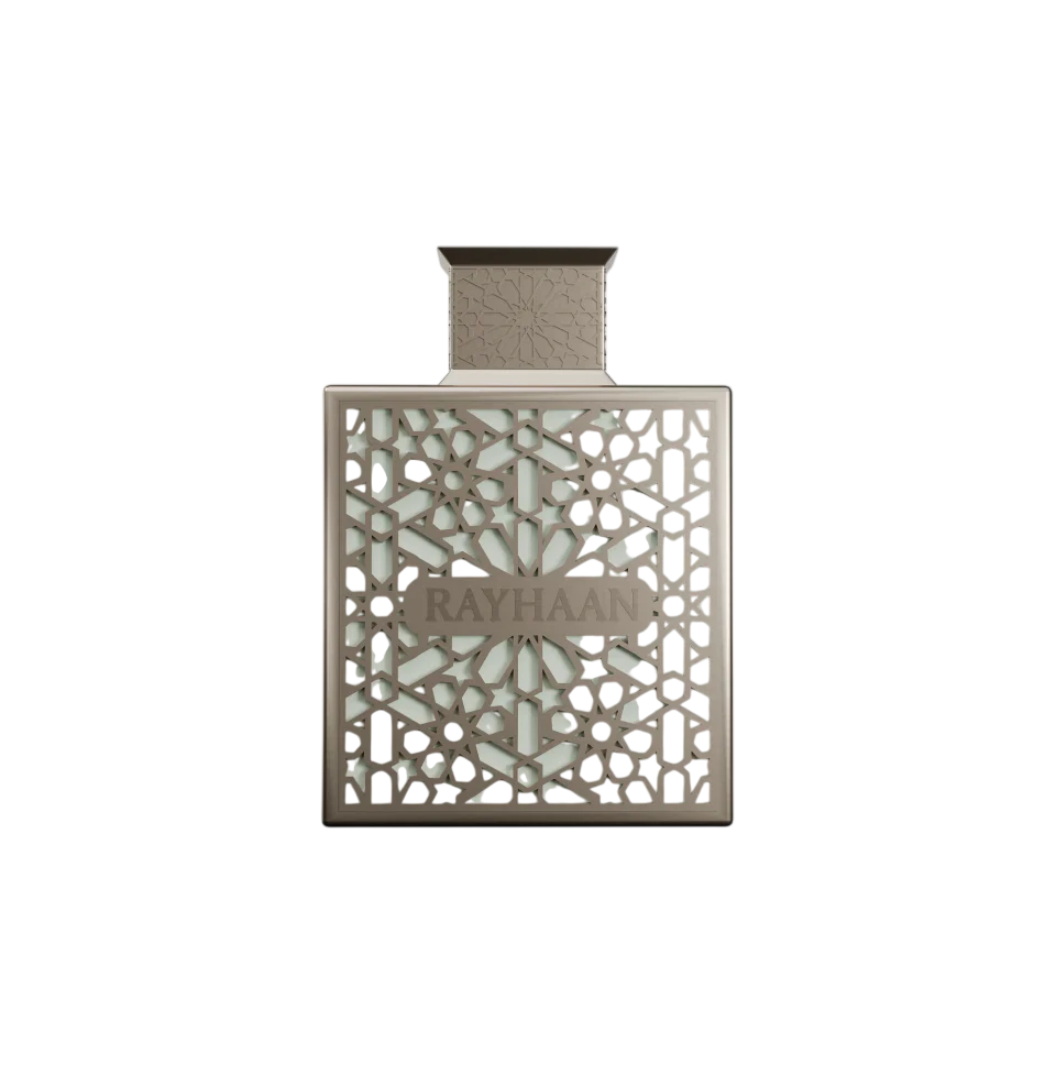 Rayhaan, Terra, Eau De Parfum, For Men, 100 ml