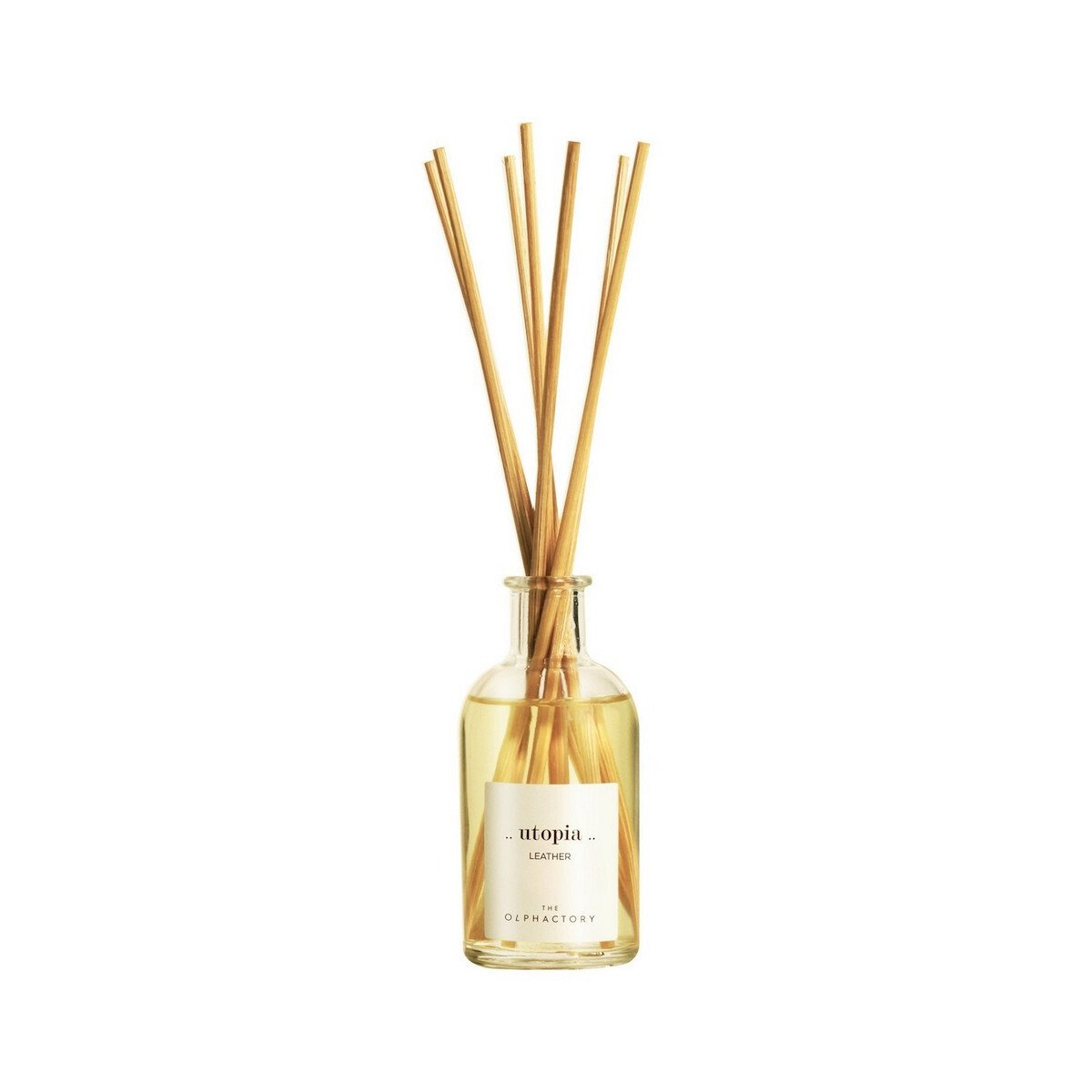 The Olphactory, Utopia Leather, Fragrance Sticks, Aroma Reed Diffuser, 100 ml